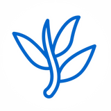 L-Theanine